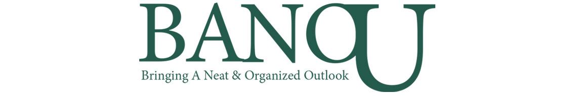 BANOU Cleaning Services