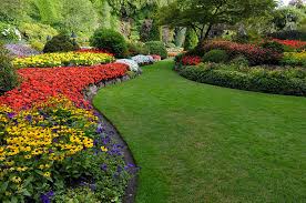 Gardening & Landscaping